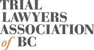 Plane accident lawyers from Martin G. Schulz & Associates: Trial Lawyers Association of BC member